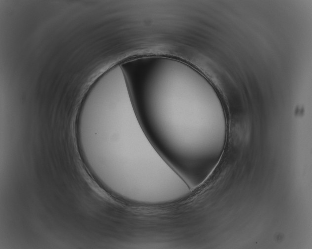 X0000096690389200802051042