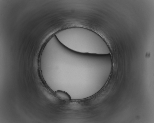 X0000096690390200802051042