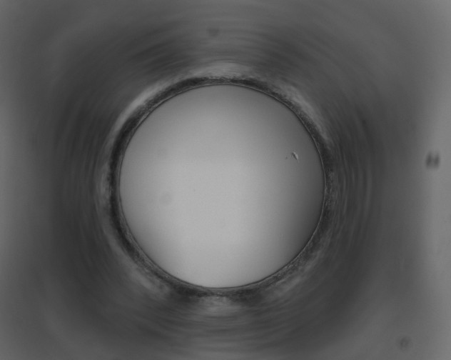 X0000096690392200802051042