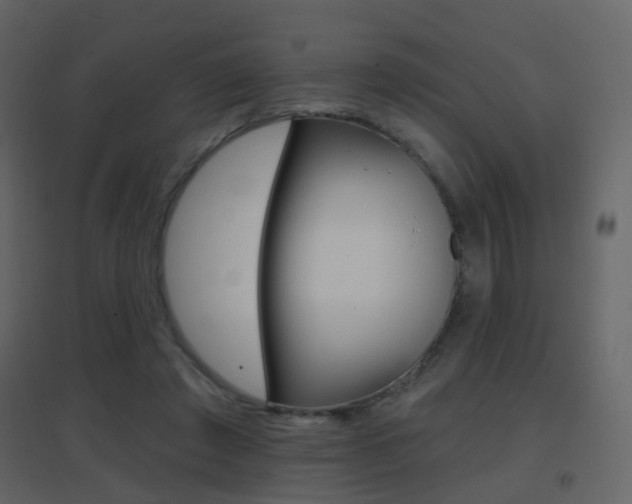X0000096690401200802051042