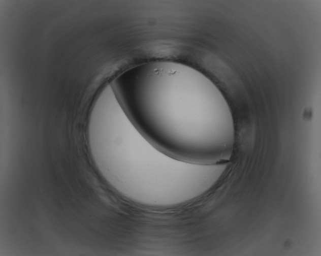 X0000096690407200802051042