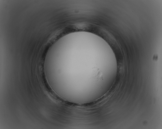X0000096690408200802051042