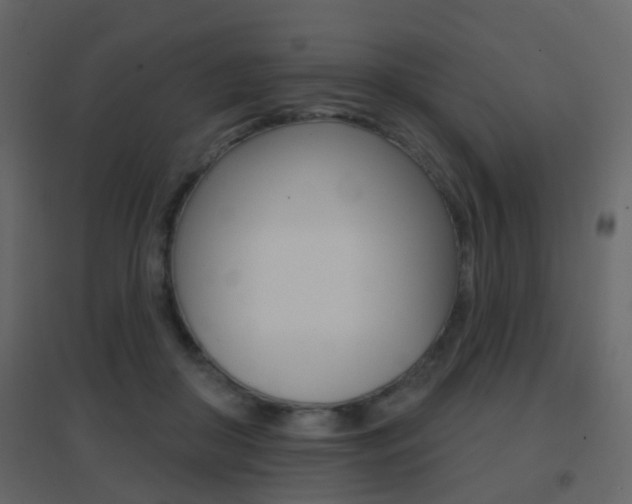 X0000096690410200802051042