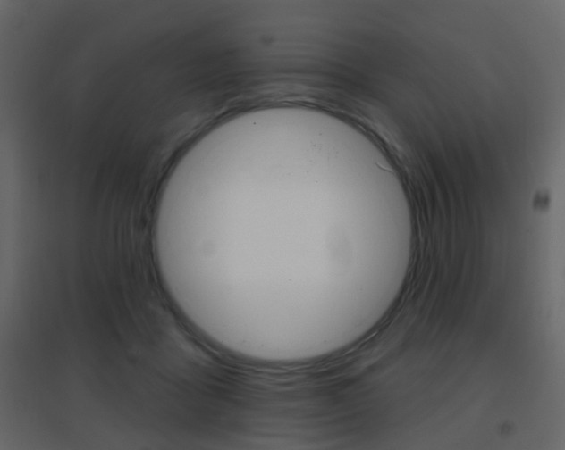 X0000096690411200802051042