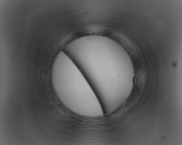 X0000096690413200802051042