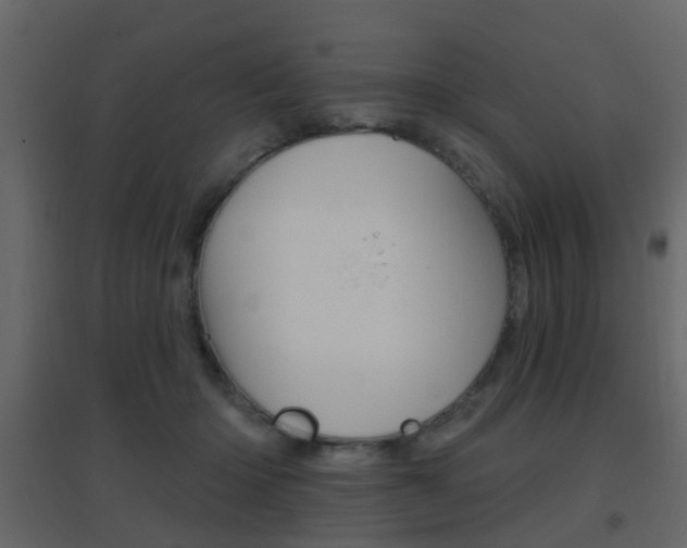 X0000096690414200802051042