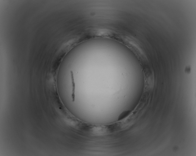 X0000096690415200802051042
