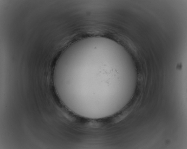 X0000096690416200802051042