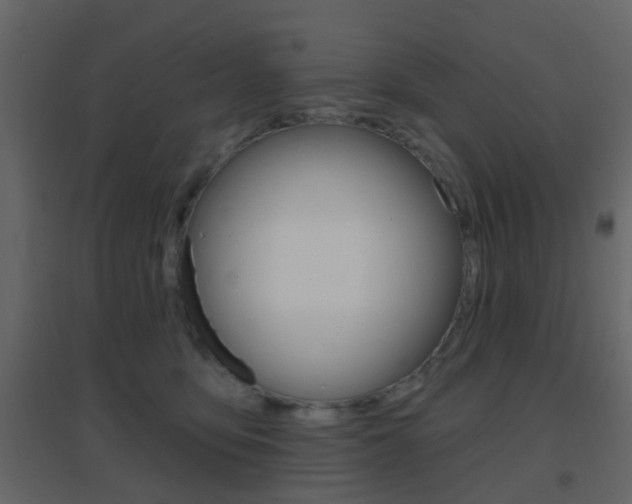 X0000096690419200802051042
