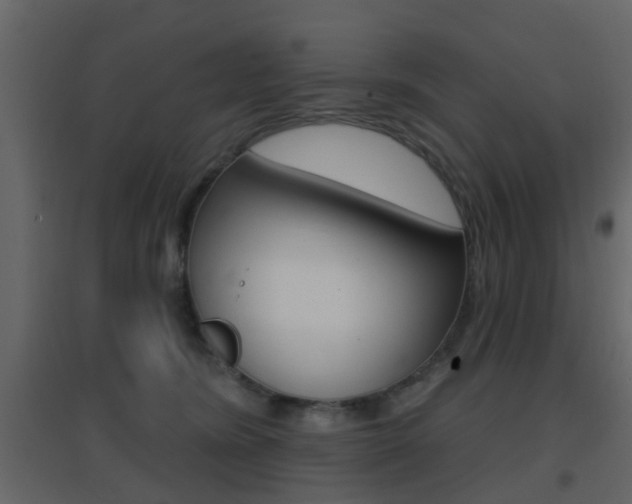 X0000096690420200802051042