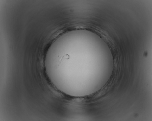 X0000096690422200802051042
