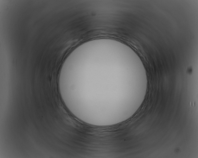 X0000096690423200802051042