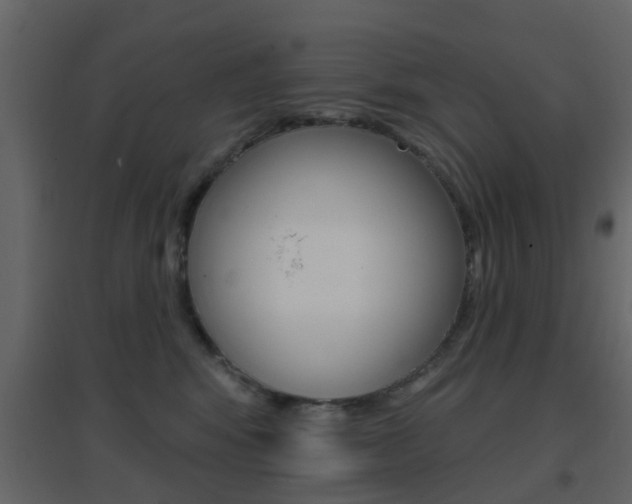 X0000096690424200802051041