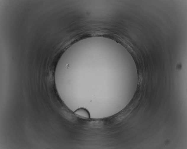 X0000096690426200802051041