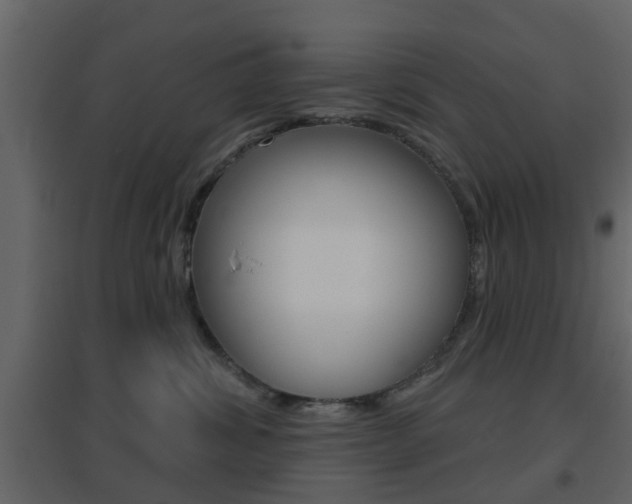 X0000096690428200802051041
