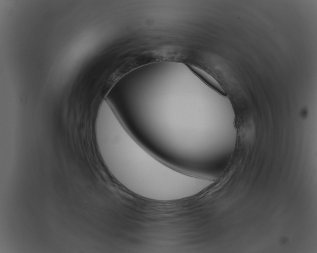 X0000096690429200802051041