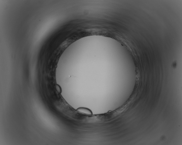 X0000096690430200802051041