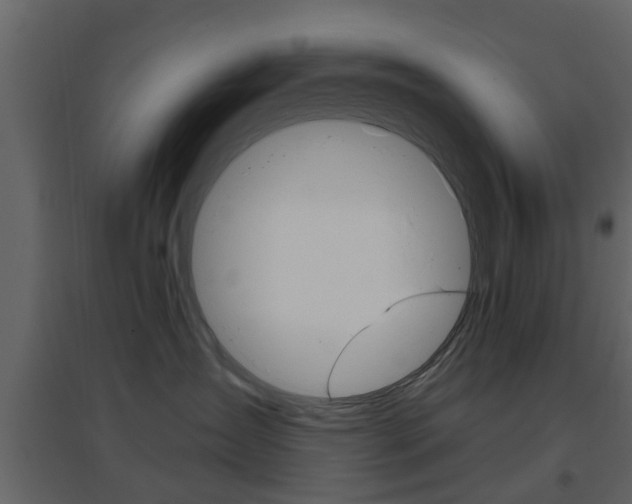 X0000096690431200802051041