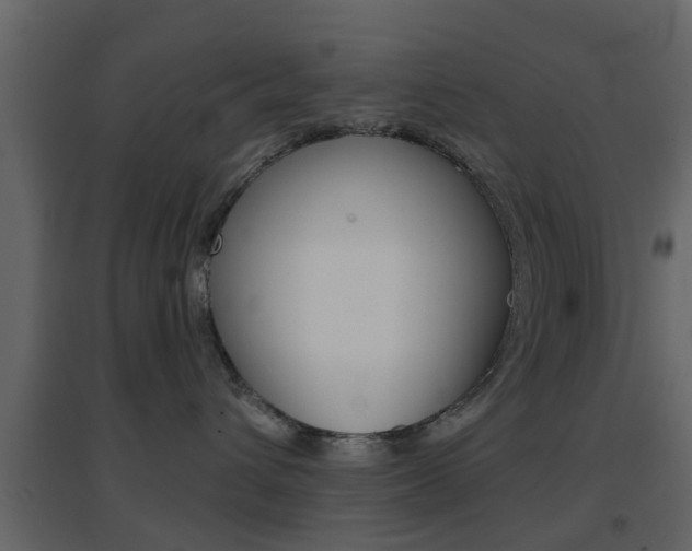 X0000096690432200802051041