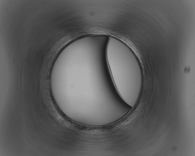 X0000096690433200802051041
