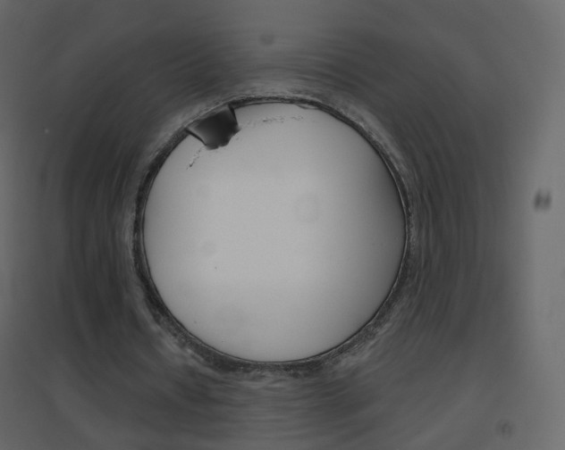 X0000096690434200802051041