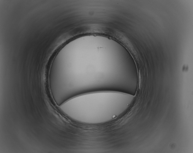 X0000096690435200802051041