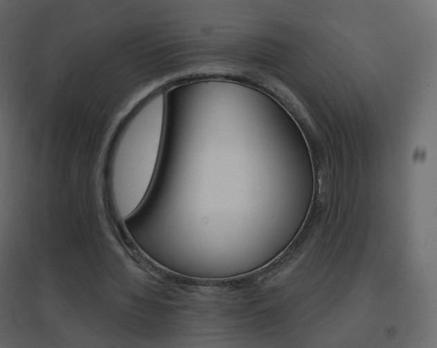 X0000096690436200802051041