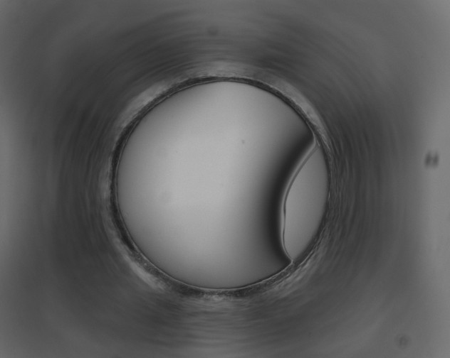 X0000096690437200802051041