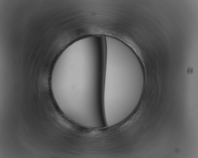X0000096690441200802051041
