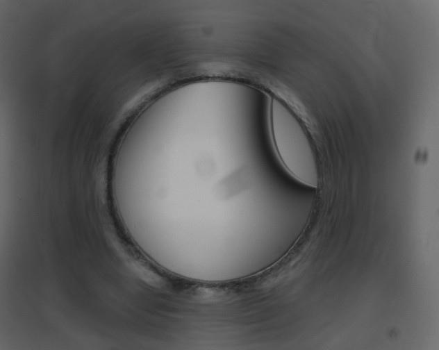 X0000096690442200802051041