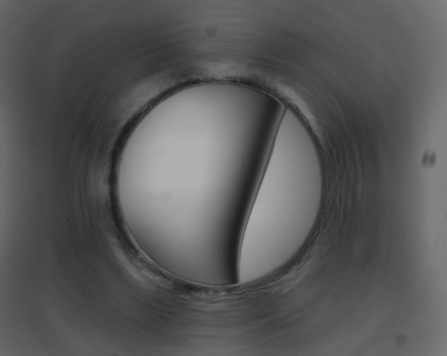 X0000096690443200802051041