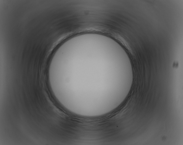 X0000096690444200802051041