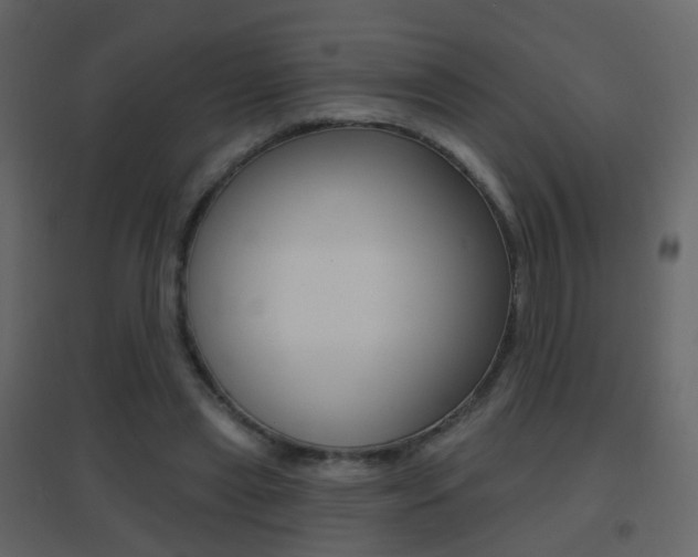 X0000096690445200802051041
