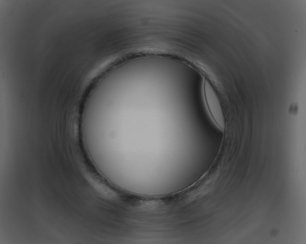 X0000096690446200802051041