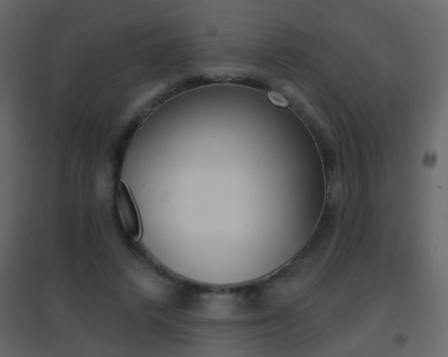 X0000096690448200802051041