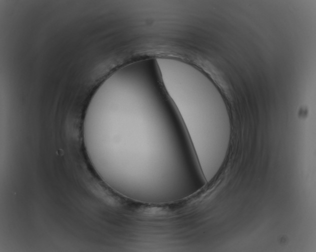 X0000096690449200802051041