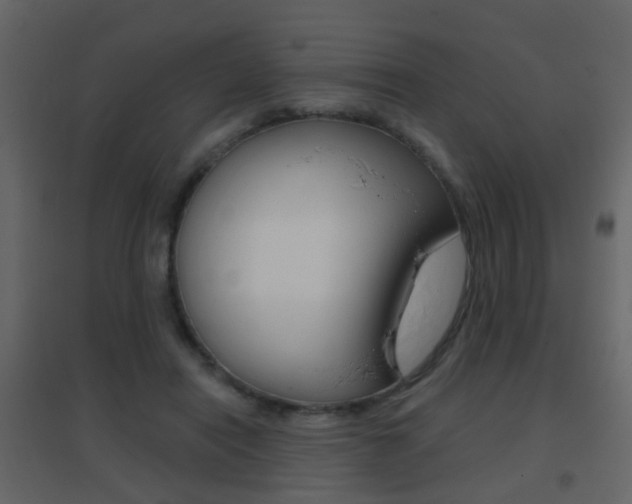X0000096690454200802051041