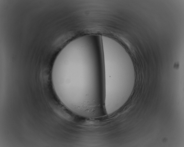 X0000096690455200802051041