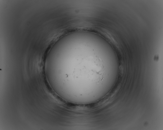X0000096690458200802051041