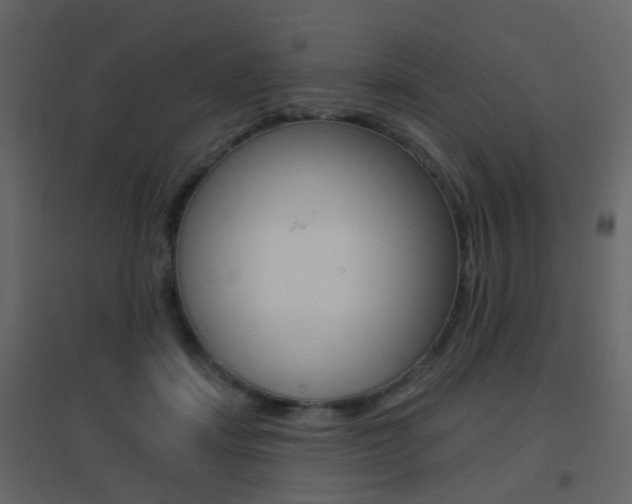 X0000096690459200802051041