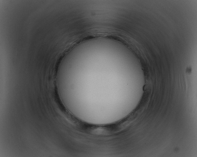 X0000096690460200802051041
