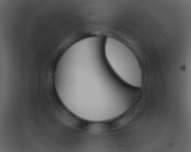X0000096690461200802051041