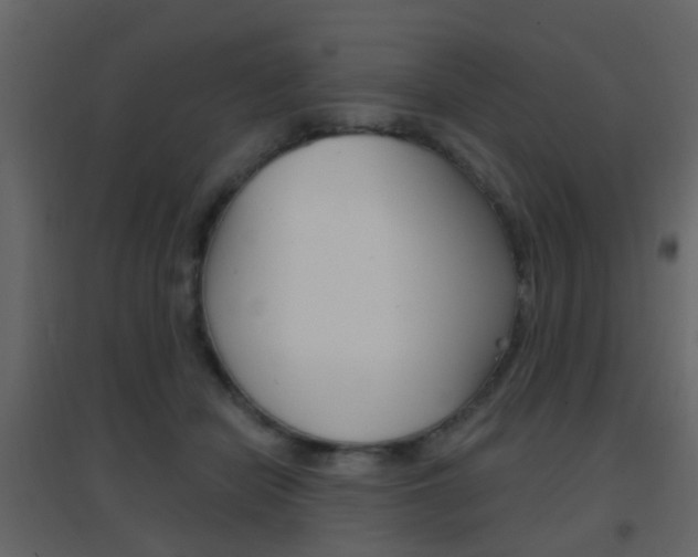 X0000096690462200802051041