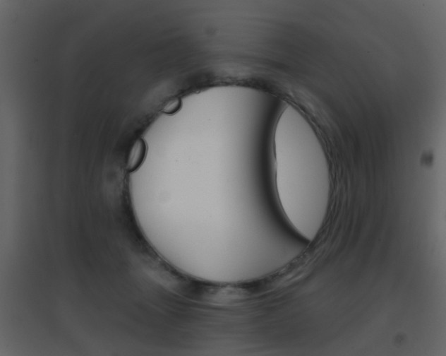 X0000096690463200802051041