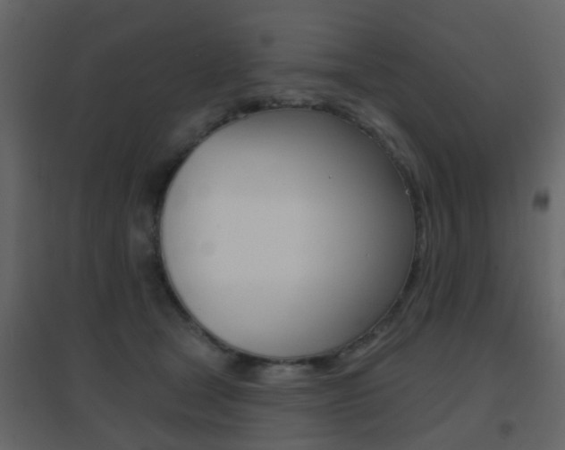 X0000096690465200802051041