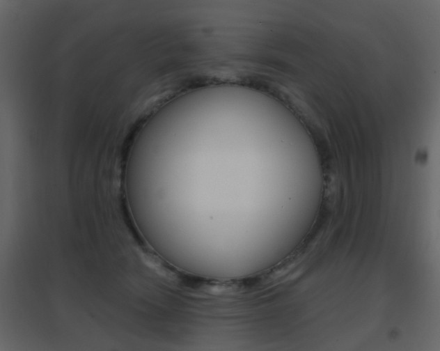 X0000096690466200802051041