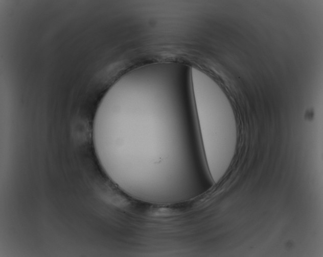 X0000096690467200802051041
