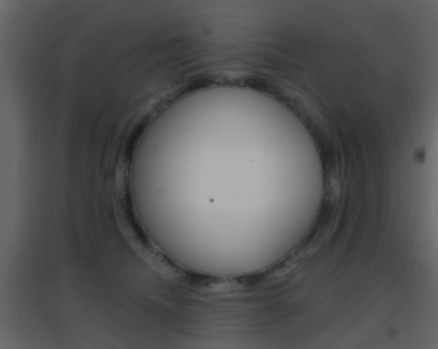 X0000096690468200802051041