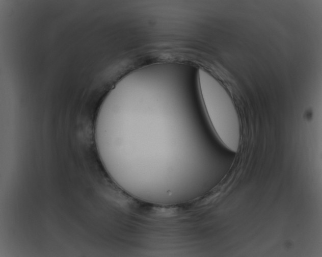 X0000096690469200802051041