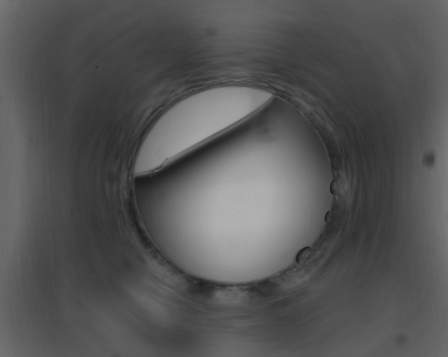 X0000096690470200802051041